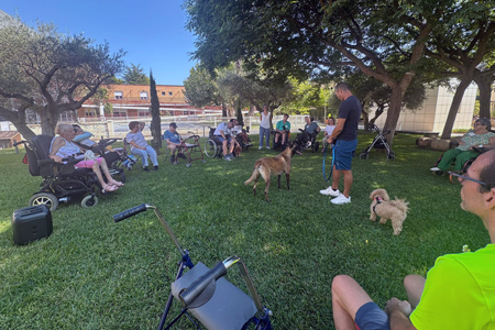 Jugando con los perros